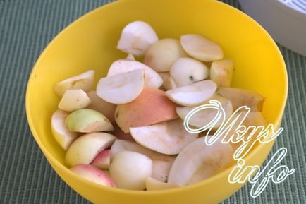 Hogyan száradni alma Villamos szárítók, a recept egy fotót