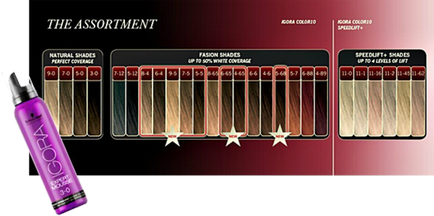 Hogyan színezett haj otthon használja Igora szakértő mousse (Schwarzkopf Professional (tónusú) Hogyan színezett haj otthon használja Igora szakértő mousse (Schwarzkopf Professional
