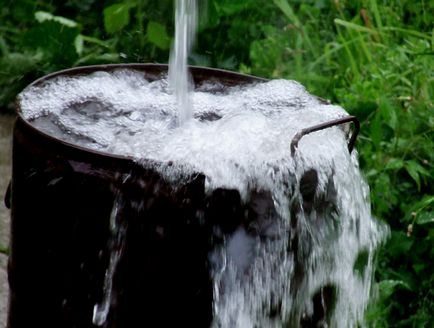 Hogyan lehet megölni elkapni a patkány (rat) Hogyan megölni egy patkány fogott