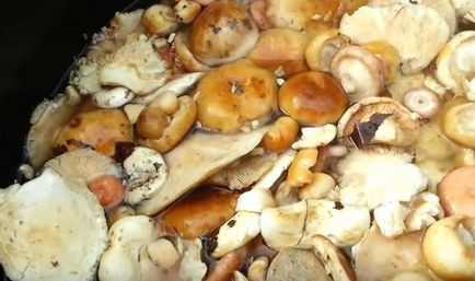 Hogyan áztassa gombát fekete-fehér videót merítési sózott gombát és sózás előtti