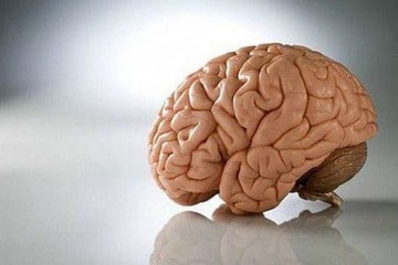 agyi ciszta típus, tünetei és kezelése