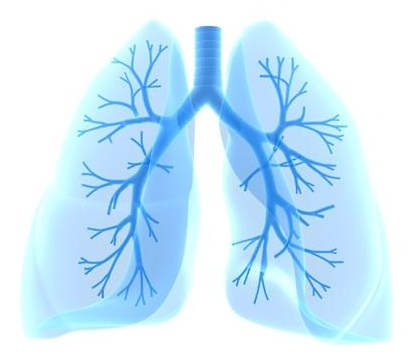 Lung ciszta tünetek, okok, kezelés