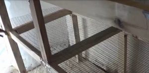 A sejteket a tojótyúkok paraméterek és gyártási jellemzői (paraméterei) A sejteket a tojótyúkok paraméterek és gyártási jellemzői