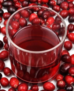 Cranberry - hasznos tulajdonságok és ellenjavallatok (áfonya kell lennie korrekt) Cranberry - hasznos tulajdonságokat és ellenjavallatok