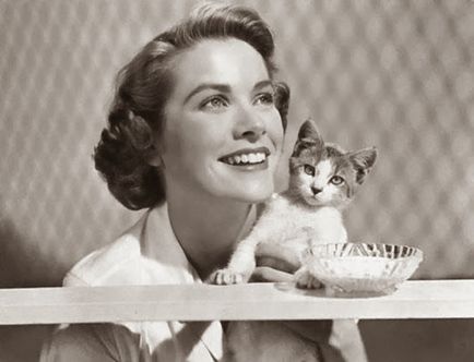 Macskák hírességek, az egyik hölgy - egy magazin a nők