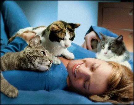 Gyógyászati ​​tulajdonságait macskák egyik hölgy - női magazin