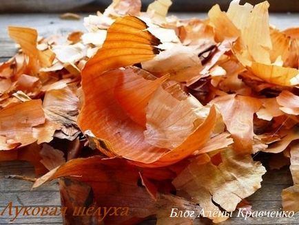 Hagyma héja - előnyei és hátrányai, receptek (hagyma) Hagyma héja - előnyei és hátrányai, receptek