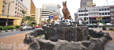 Malajzia, Borneo, Sarawak Múzeum és Műemlékek macskák macskák macskák Kuching (40 fotó)