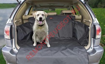 Kocsi kutya a kocsiban - a biztonsági pet utazás