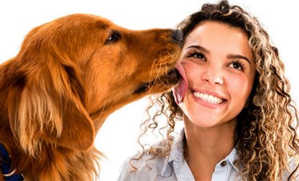 Miért kutya nyalogatja emberi és mit jelent ez, mind a kutyák