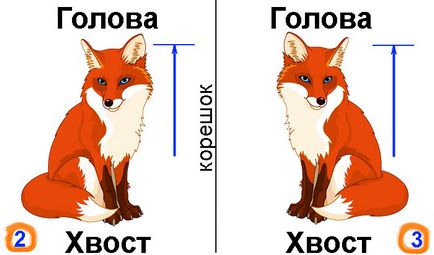 A zenekar nyomtatás (fényesség) A csík a nyomdaiparban