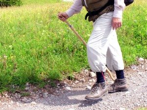 A posztoperatív időszakban a művelet során a vénákban