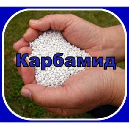 A karbamid alkalmazása, mint a folyékony műtrágya (alkalmazás) Alkalmazása a folyékony műtrágya, mint a karbamid-