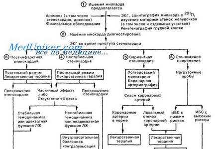 Alapelvei angina (angina kezelési irányelvek) Angina kezelési irányelvek