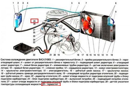 A működési elve a termosztát, a készülék és a videó a rendszer vázát (rendszer) autók A működési elve a termosztát, a készülék és a videó a rendszer VAZ