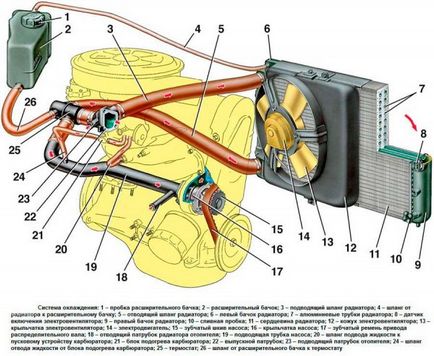 A működési elve a termosztát, a készülék és a videó a rendszer vázát (elve) autók A működési elve a termosztát, a készülék és a videó a rendszer VAZ