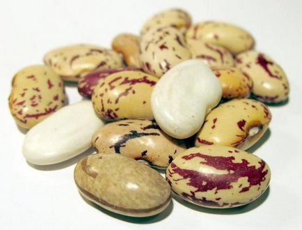 Termékek vasat tartalmazó nagy mennyiségben (nagy) Termékek vasat tartalmazó nagy mennyiségben