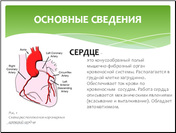 Kardiovaszkuláris betegség - bemutatása Medicine