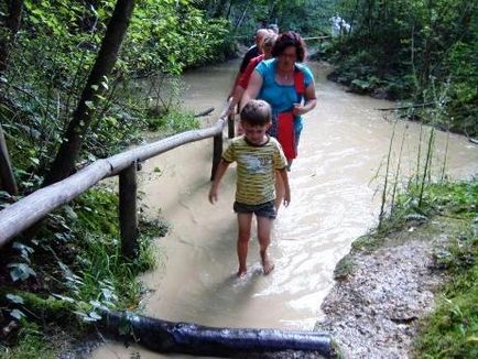 Egyszerű módja, hogy megszabaduljon a nyálka a (test) Egyszerű módja, hogy megszabaduljon a nyálka a szervezetben