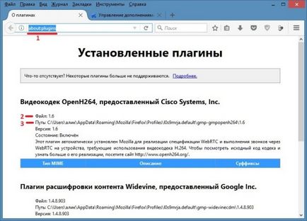 firefox plugint a frissítések keresése, hogy hogyan lehet a számítógép (ellenőrzés) firefox plugint a frissítések keresése, hogy hogyan lehet a számítógép
