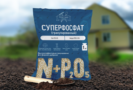 A szaporodási eper bajusz nyár (tenyésztés) A szaporodási eper bajusz nyár