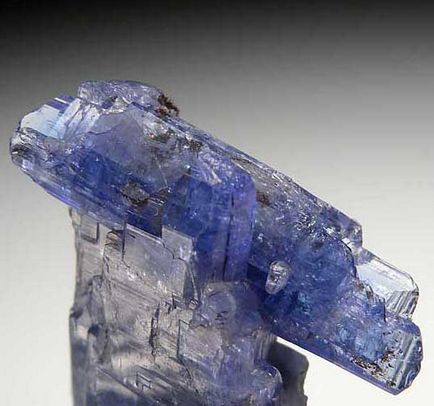 A ritka Tanzanite kő, a történelem és tulajdonságok - 30 fotó (Tanzanite ár) A ritka Tanzanite kő, a történelem és tulajdonságok - 30 fotó