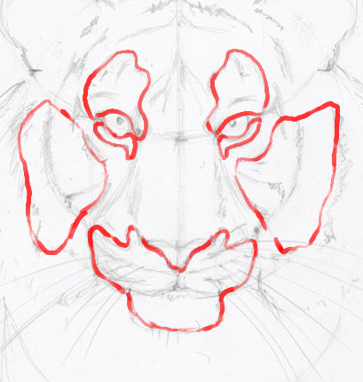 Rajzolj egy arc ceruza tigris szakaszaiban