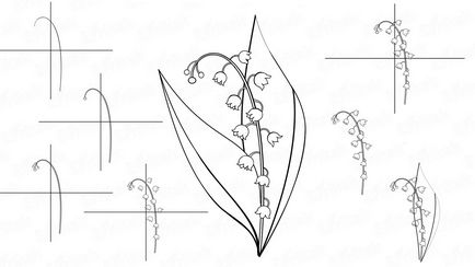 Rajzolj egy virágot gyöngyvirág fokozatosan ceruza