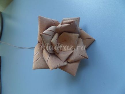 Emelkedett nyírfakéreg kezük (konduktorova) Emelkedett nyírfakéreg kezük