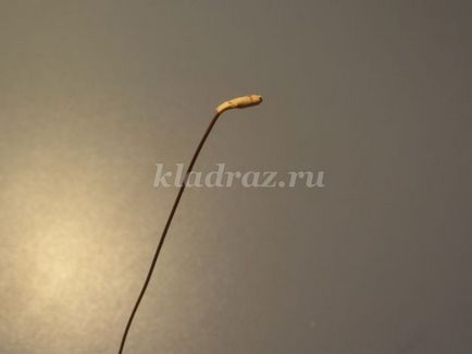 Emelkedett nyírfakéreg kezük (rózsa) Emelkedett nyírfakéreg kezük