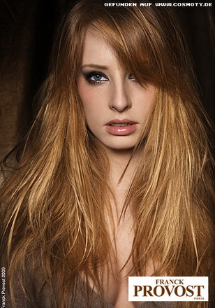 Barna haj teljes útmutató - 70 fotó színfoltok árnyalatok