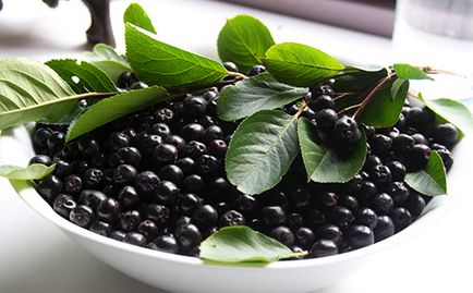 Feketeberkenye hasznos tulajdonságok és ellenjavallatok (kövikörte Aronia)