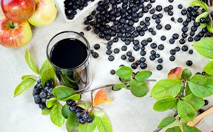 Feketeberkenye hasznos tulajdonságok és ellenjavallatok (kövikörte Aronia)