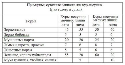 Készítmény takarmány tojótyúkok - a részleteket! (Rétegek) Készítmény takarmány tojótyúkok - a részleteket!