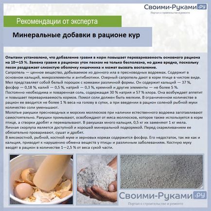 Készítmény takarmány tojótyúkok - a részleteket! (Rétegek) Készítmény takarmány tojótyúkok - a részleteket!