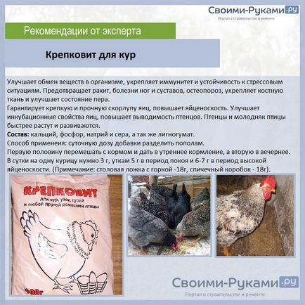 Készítmény takarmány tojótyúkok - a részleteket! (Világos színű takarmány) Készítmény takarmány tojótyúkok - a részleteket!