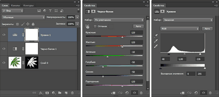 Ami a saját ecsetet a képek Photoshop (Photoshop) Ami a saját ecsetet a képeket Photoshopban
