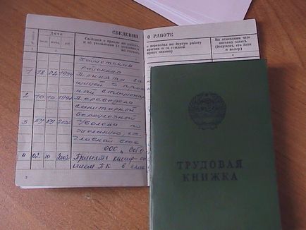 Biztosítási időszak betegszabadságra, hogy, hogyan kell olvasni (rekord) Biztosítási időszak betegszabadságra, hogy, hogyan kell számolni