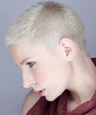 Szőrtelenítés sün fényképet férfi és női változatai (sündisznó) Ápolás sündisznó fotó férfi és női változata
