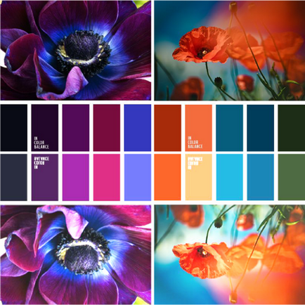 A világosság a szín, lookcolor (szín) A világosság a szín, lookcolor