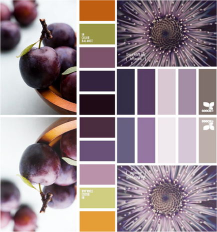 A világosság a szín, lookcolor (szín) A világosság a szín, lookcolor