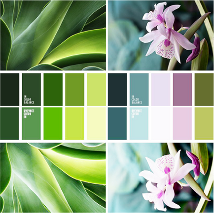 A világosság a szín, lookcolor (világosság) A világosság a szín, lookcolor