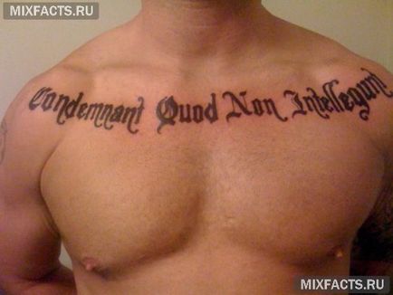 Tattoo latin feliratok fordítással