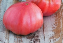 Paradicsom Pink Giant vélemények és fotók, leírását és jellemzését fajta paradicsom termesztése (Pink) Paradicsom Pink Giant vélemények és fotók, leírását és jellemzését fajta paradicsom termesztése
