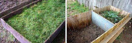 Műtrágya Grass infúziós folyadék Trágyazás, komposztálás, az emésztést (infúzió) Trágya folyékony gyógytea etetni, komposzt, fermentációs