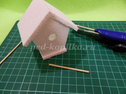 Dekorációs szobanövények saját kezűleg (fedett) Dekorációs szobanövények saját kezűleg