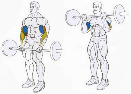 bicepsz gyakorlatokat otthon és az edzőteremben