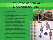 Biológia órák (class közönség Célcsoport) Biológia lecke