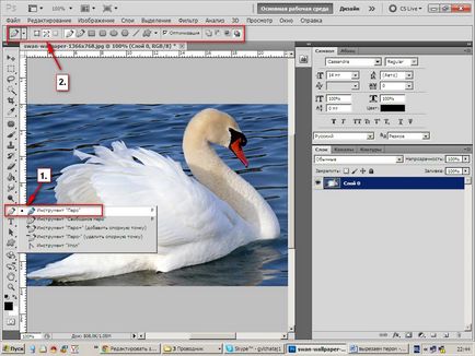 Lessons Photoshop, elválasztása az objektumot a háttérben, mint vágás, az összes Photoshop (objektum) Photoshop tutorialok, elválasztása az objektumot a háttérben, hogyan kell vágni, mind a Photoshop
