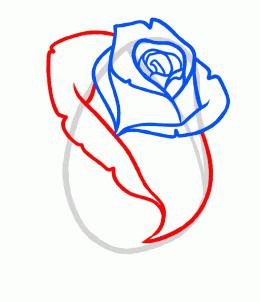 Lecke rajz, hogyan kell felhívni a rózsa